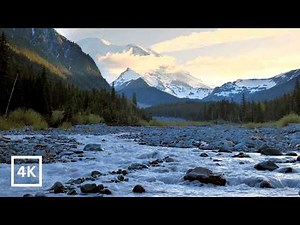 4K The High Country | Wild Glacial River Beneath Mount Rainier’s Remote Alpine Wilderness