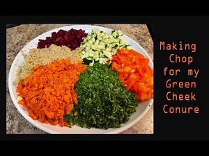 How to make weekly Chop for your Parrot // Chop for my Green Cheek Conure