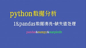 【Python数据分析教程】——数据清洗之缺失值处理详解