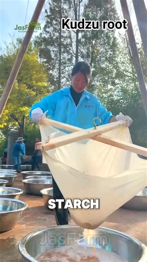 😱😱😱 OMG The Root China Loves but the U.S. Fears. #kudzuroot #chinesemedicine #wildharvest #invasivespecies #NatureFacts #chineseculture #chinesefood #shorts #chinesecooking #healingfoods #longevityherb #healthyeating #foodstories #farmlife #ecofarming #ZeroWaste #shortsvideos #fblifestyle #chinesesnacks #fruits #farm #farming #life #work #farmerlife #facebookreelsviral #facebookreels #foryoupagereels #facts #fblifestyle | JasFarm68