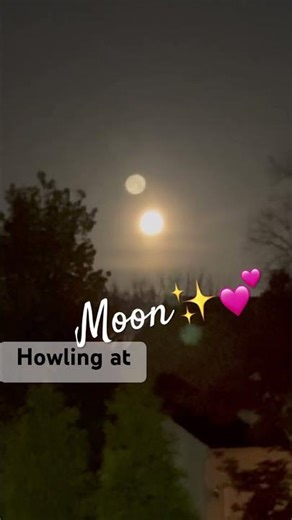 ✨Howling at The Moon Healer Medicine Woman Wise ✨💕 #nature #enchanted