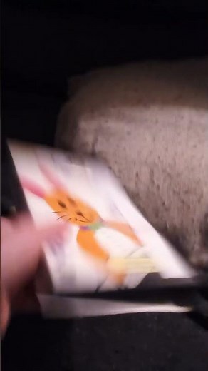 Review On The Baby Bach 2002 VHS&CD