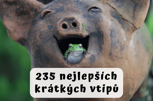 ▷ Nejlepší krátké vtipy: 250 vtipů, u kterých se zasmějete