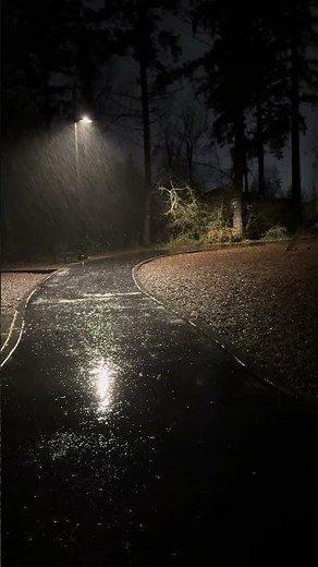 Local Weather Report 2