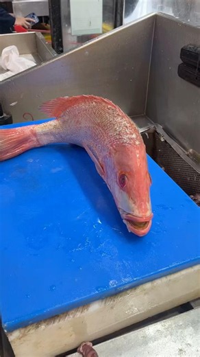 Amazing Red Snapper Fish Cutting Skills#shorts