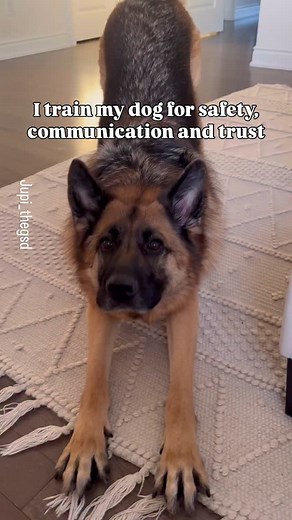 374 reactions · 8 comments | Training isn’t about creating robots....