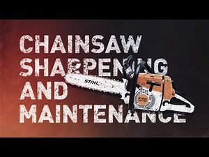 Chainsaw Maintenance 101: How to Keep Your Chainsaw in Top Condition - Stihl MS260
