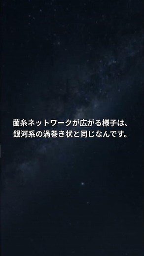 カビが銀河系？顕微鏡の衝撃真実