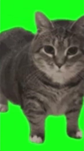 elusion! watch this from close eyes.