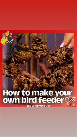 BBC Morning Live on Instagram: "Here’s how to make a DIY bird feeder with crafting queen Sara Davies."