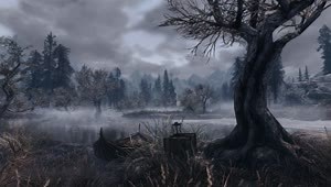 Forest of Ghosts Skyrim SE Live Wallpaper HD