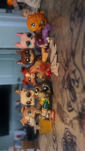 Well damn.. #lps #lpscollection #lpstiktok #lpscustom #lpstok #lpsvideos #fyp #foryou #lpscommunity #foryoupage #lpscreator #lpscollector #lpstube #lpstoys #lpspopular #support_me