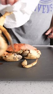 I Tried a Jonah Crab #seafood #crab #jonah | By the Water