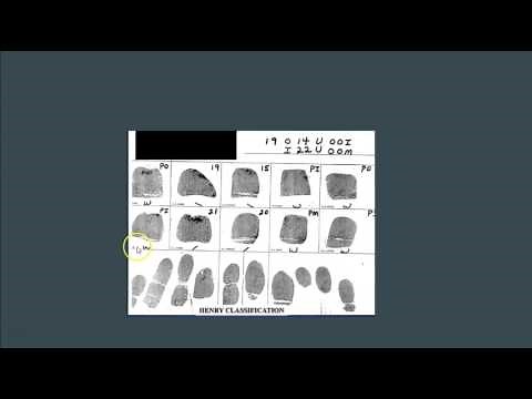 Henry Classification Major Key and Final