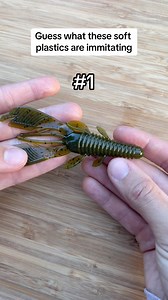 61K views · 558 reactions | Soft plastic baits can be designed to imitate a number of different types of prey that fish feed on. Can you guess what types of prey or forage items these three soft plastics are imitating? #AnglerLife #softplastics #fishingbait #takemefishing | Take Me Fishing | Facebook