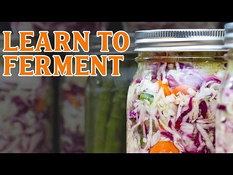 PODCAST: Introduction to Fermenting (Preservation 101) - Pantry Chat #67