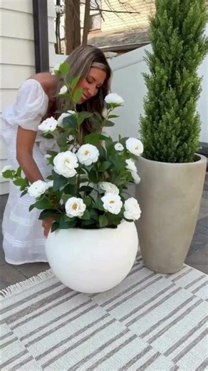 Chic Wayfair Patio Decor for a Cozy Summer Outdoor Retreat!