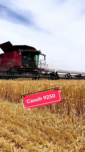 Harvesting Wheat with Case IH 9250 in Australia