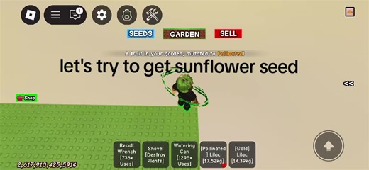 Sunflower Seed Growing Techniques with Lilac Method