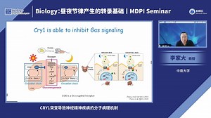 20240630-中南大学李家大-CRY1突变导致神经精神疾病的分子病理机制