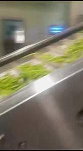 Belt conveyor machine..Factory 3 (Unit-3) #137, G.N.T. MARKET DHAR ROAD, INDORE-452002 | Punjab Engineering Corporation | Facebook