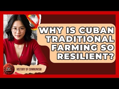 Why Is Cuban Traditional Farming So Resilient? - History of Communism