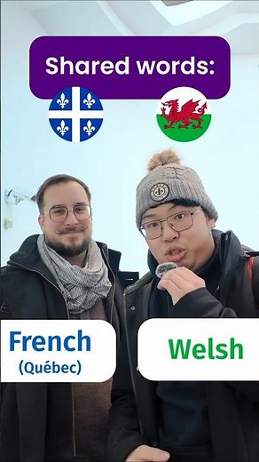 Shared words between Welsh 🏴󠁧󠁢󠁷󠁬󠁳󠁿 and French (Québec) ⚜️❄️🥶