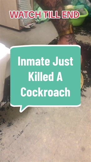 Wait Till End..!!! Have you ever killed a cockroach ?? #fyp #eww #cockroach #jail #prison #dirty #fypシ゚viral #fyf #fypage #fyppppppppppppppppppppppp