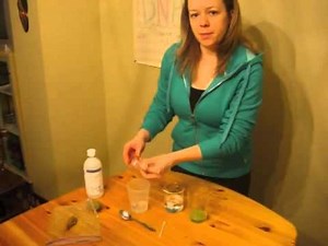 DNA extraction from kiwi fruit