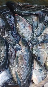 diya vlog short#viralshort