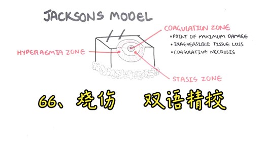 66、烧伤〖Armando Hasudungan〗双语精校