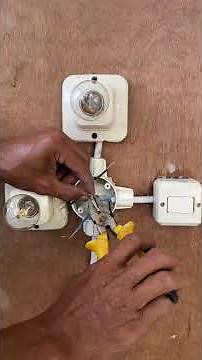 builders learn to assemble electrical installations of 2 lamps and one switch