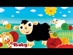 Bee Bee Ovejita Negra 🐑 | Rimas infantiles y canciones infantiles🎵 ‪@BabyTVSP‬