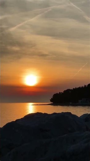 ١٥ يناير ٢٠٢٦