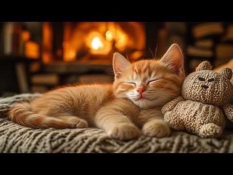 Calming Music for Anxious Cats: Soothing Sounds for Deep Relaxation and Sleep