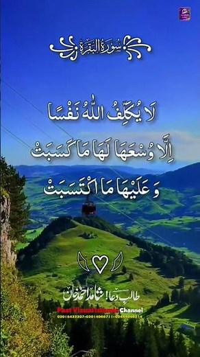 Surah Al-Baqarah سورة البقرة #tilawat #alquran #viralvideo #islamicproductions #shorts