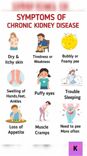 9 EARLY WARNING SIGNS OF CHRONIC KIDNEY DISEASE YOU SHOULD NEVER IGNOR