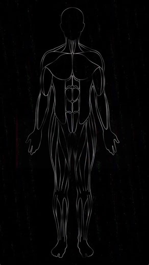 Wie sieht ein Fuß eigentlich von innen aus? Frank wirft in unserer Corpus-App einen Blick hinein. Selbst neugierig geworden? Entdecke die menschliche Anatomie aus allen Perspektiven. Schau dir die App über den Link in unserer Bio an! | DocCheck