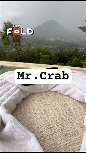 Towel Folding Crab #towelanimal #origami #towelart #craft #crab #housekeeping #fyp #tutorial #viral