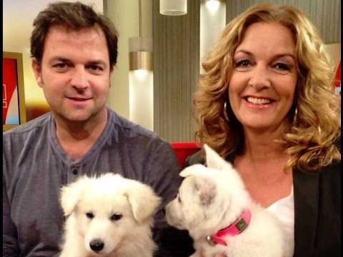 Martin Rütter bei DAS! 16.10.2015 NDR-Fernsehen