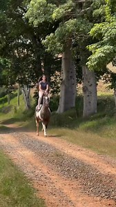 Ahah #funny #videos | Anormal1