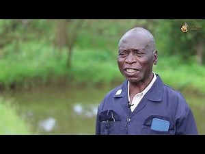 THE CRYING STONE OF TRANS-NZOIA - PST TIMOTHY KITUI'S FATHER, SHARES ABOUT THE STONE IN HIS HOME