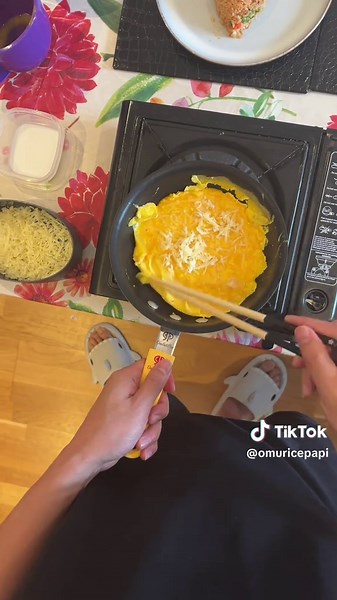 Making Omurice for My Neighbor: Day 49.5