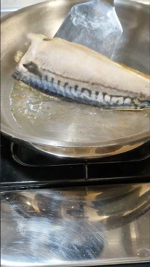 家常系列-香煎鯖魚❤️ #煎魚 #家常料理 #cooking #熱炒 #food #簡易料理 #簡單食譜 #家常菜 #炒菜学 #炒菜 #日式鯖魚 #鯖魚料理