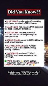 17K views · 80 reactions | Ocean Animals With Unreal Abilities #facts | Time Facts | Facebook
