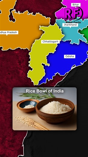 🌏✨ India = Diversity Heritage Identity ✨🌏 Every state has a nickname that reflects its culture, history, or natural beauty. Let’s explore Part 2: 📍 Bihar – Land of Buddha 🪷 📍 Odisha – Land of Lord Jagannath 🛕 📍 West Bengal – Land Nourished by Rivers 🌊 📍 Jharkhand – Coal Capital of India ⛏️ 📍 Madhya Pradesh – Heart of India ❤️ 📍 Chhattisgarh – Rice Bowl of India 🍚 ✨ From spiritual lands to mineral-rich states, these nicknames capture the soul of India. 👉 What is your state famously c
