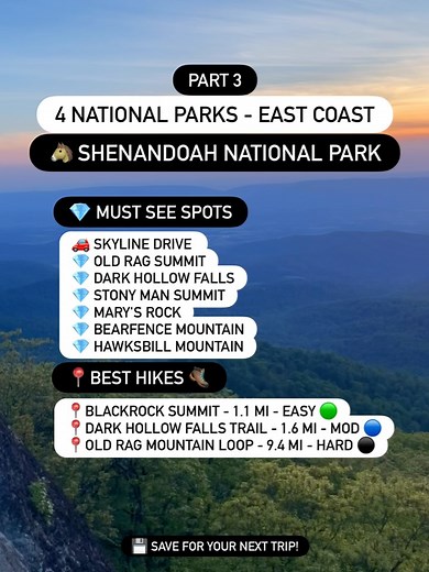 Funsize Wanderer on Reels