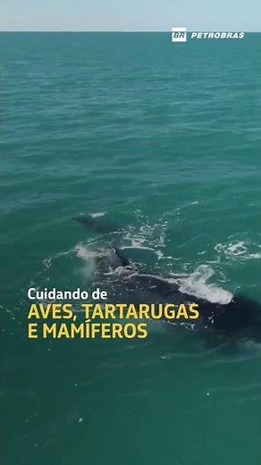 Dia Mundial dos Oceanos