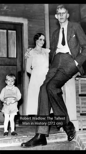 old world Archive on Instagram: "Robert Wadlow — The Tallest Man in Recorded History Robert Wadlow was born in 1918 in Alton, Illinois, and began life as a completely normal baby. But due to hyperplasia of the pituitary gland, his body grew at an extraordinary rate, far beyond anything seen before. By the time he was just 22, he had reached an incredible height of 8 ft 11 in (2.72 m) — and he was still growing. Despite the physical challenges he faced, Wadlow was known for his gentle and calm pe