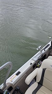 Fish Head Assassin Fishing | Fish Head Assassin